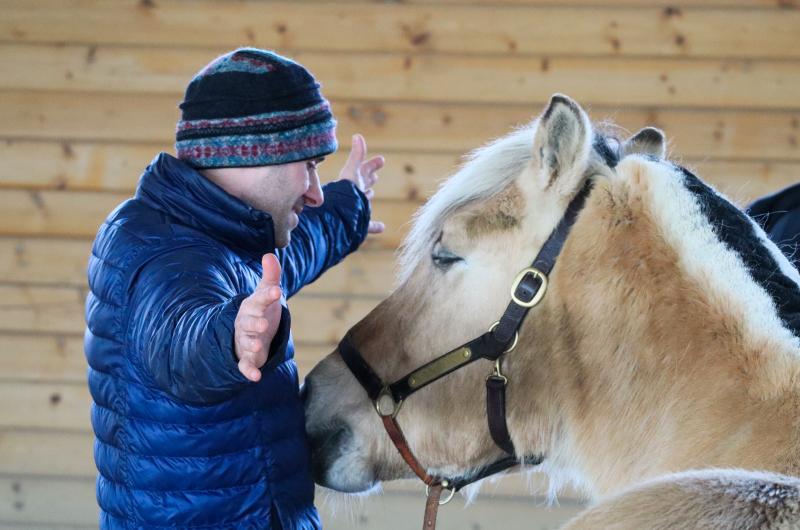 Veterans and Horse during Equine Therapy 